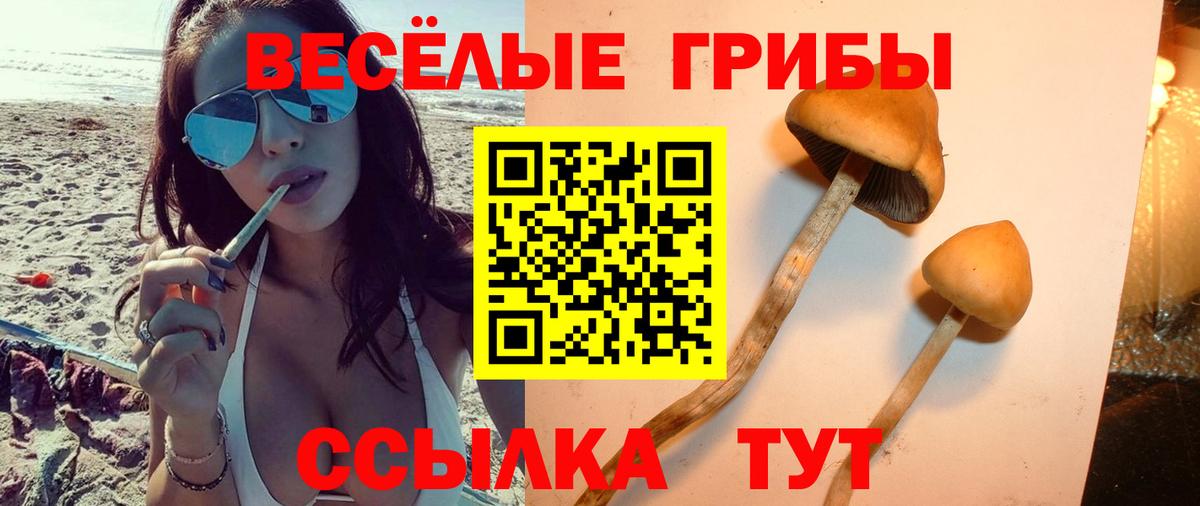 наркотики  Псилоцибиновые грибы Psilocybine cubensis  Вход с VPN  Коломна 
