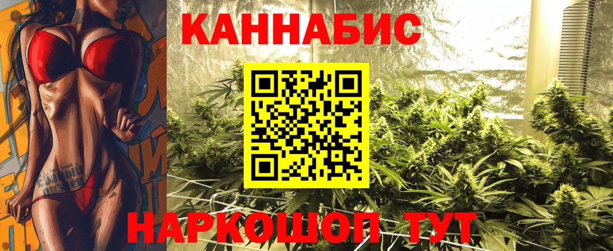 Бошки Шишки семена  Вход с VPN  Бошки марихуана OG Kush  Коломна  Бошки марихуана сатива 